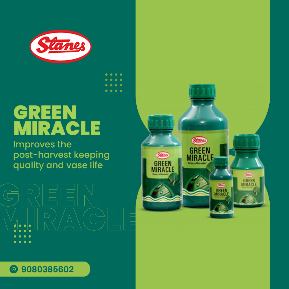 Green Miracle Image